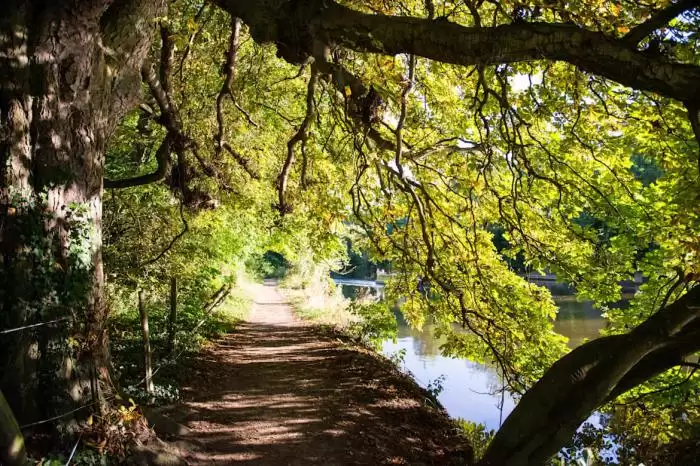 The 10 Best Running Trails Near London