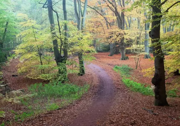 The 10 Best Running Trails Near London